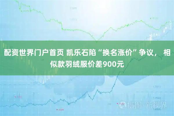 配资世界门户首页 凯乐石陷“换名涨价”争议, 相似款羽绒服价差900元