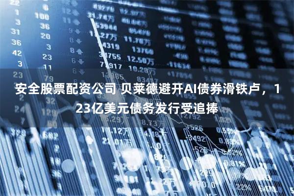 安全股票配资公司 贝莱德避开AI债券滑铁卢，123亿美元债务发行受追捧